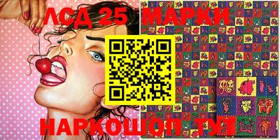 прущие грибы Канаш