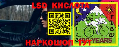 прущие грибы Канаш