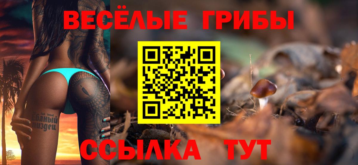 Краснокаменск  Галлюциногенные грибы прущие грибы  Вход с VPN 